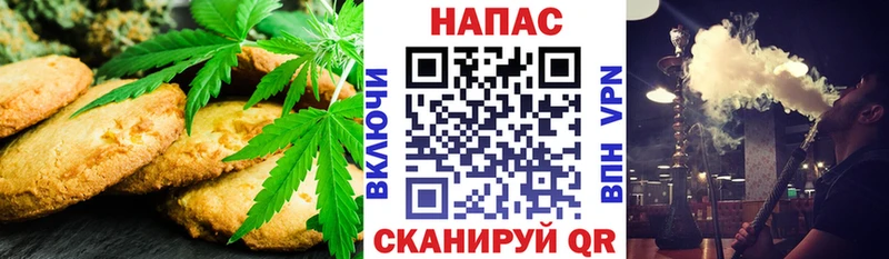 ссылка на мегу ТОР  купить наркоту  Ефремов  Canna-Cookies конопля 