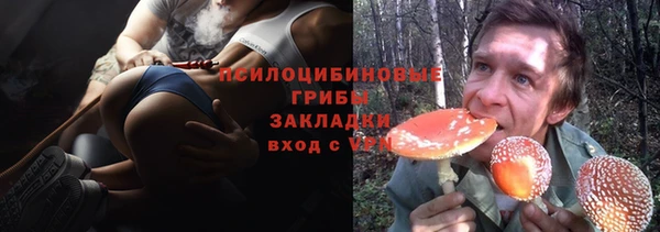 шишки Балабаново