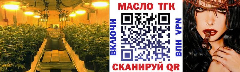 это телеграм  ОМГ ОМГ ссылка  ТГК THC oil  Ефремов  купить наркотики цена 