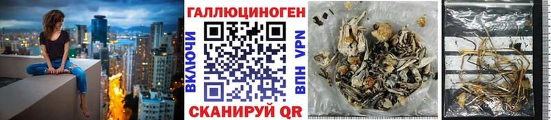купить закладку  Ефремов  blacksprut   Галлюциногенные грибы MAGIC MUSHROOMS 
